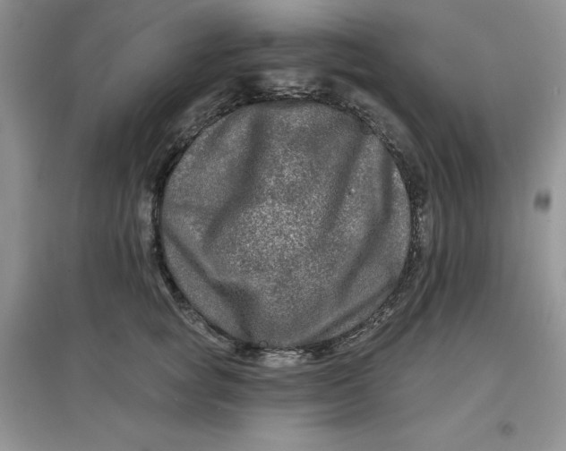 X0000097610757200803141939