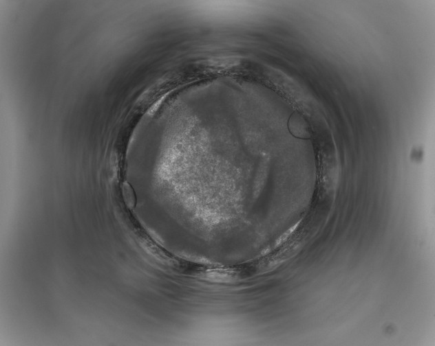 X0000097610758200803141939