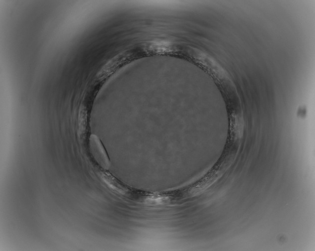 X0000097610760200803141939