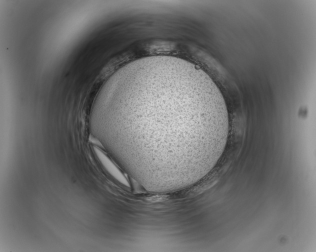 X0000097610761200803141939