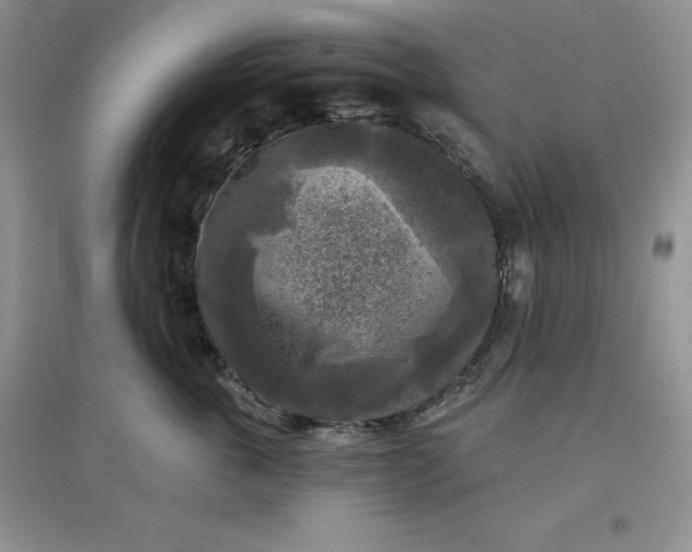 X0000097610763200803141939