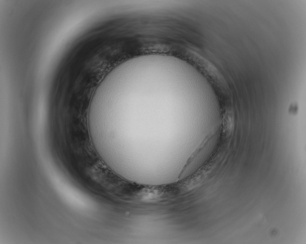 X0000097610764200803141939