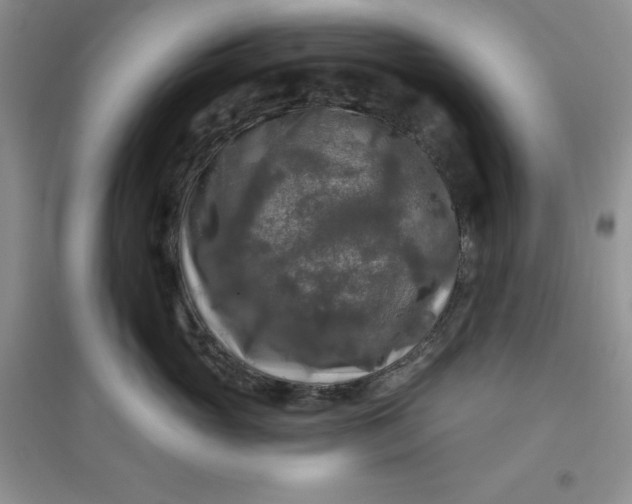 X0000097610765200803141939