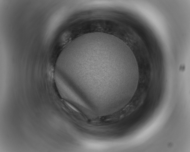 X0000097610766200803141939