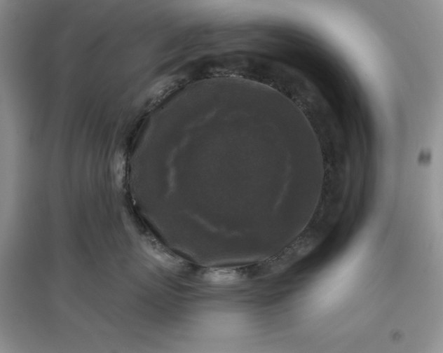 X0000097610767200803141939