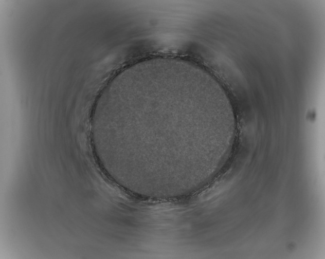 X0000097610769200803141938