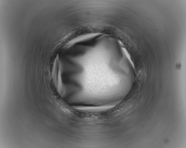 X0000097610772200803141938