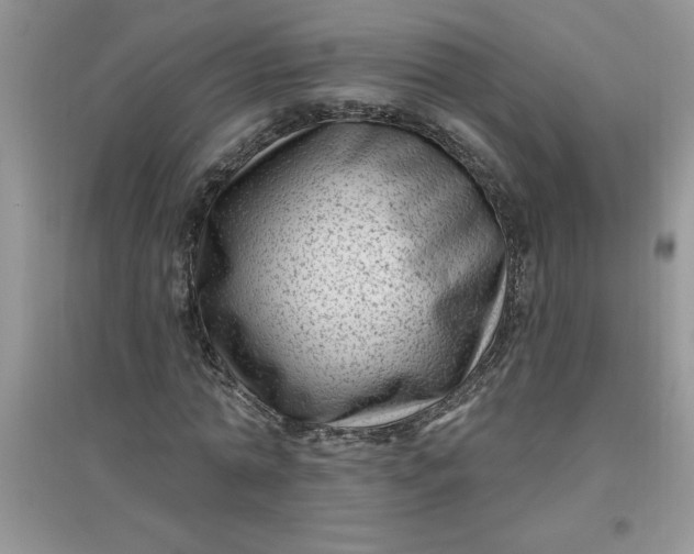 X0000097610774200803141938