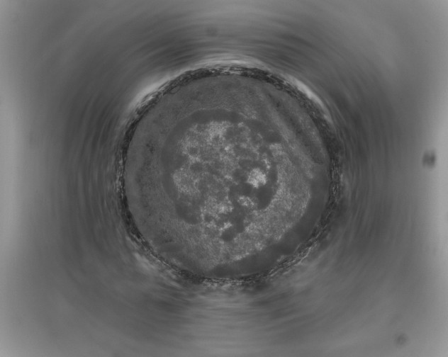 X0000097610775200803141938