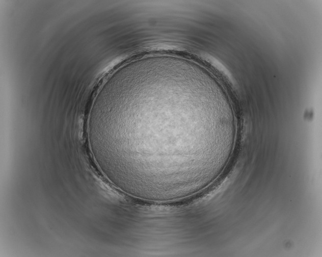 X0000097610777200803141938