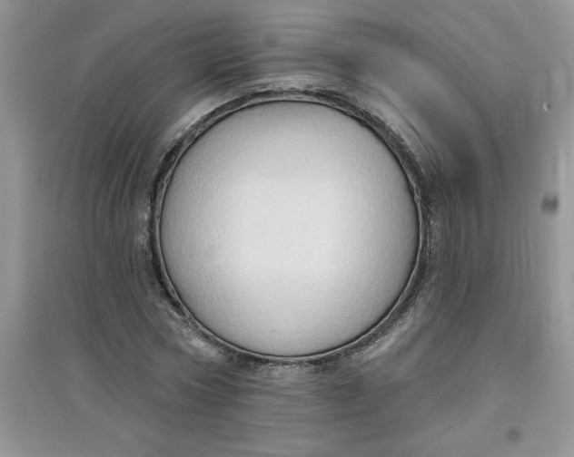 X0000097610778200803141938