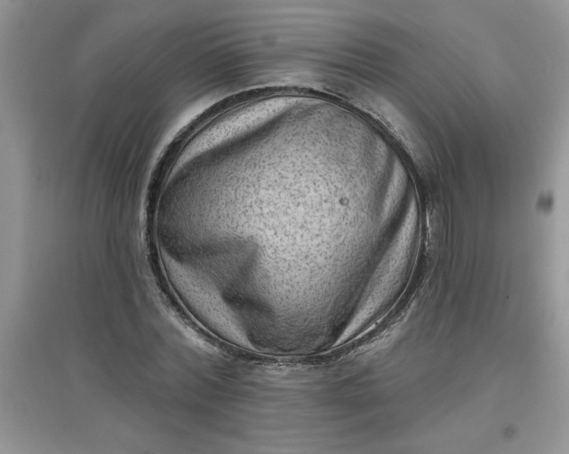 X0000097610780200803141938