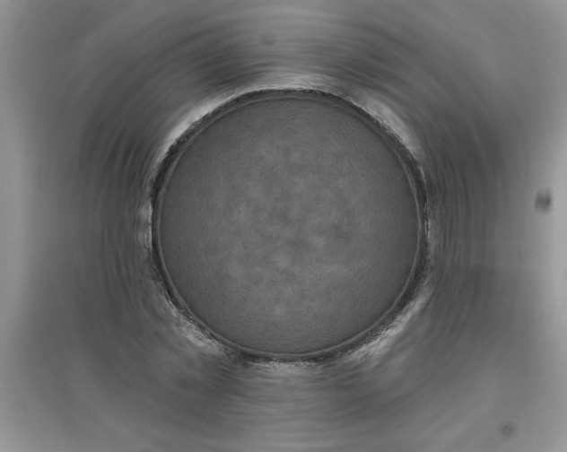 X0000097610781200803141938