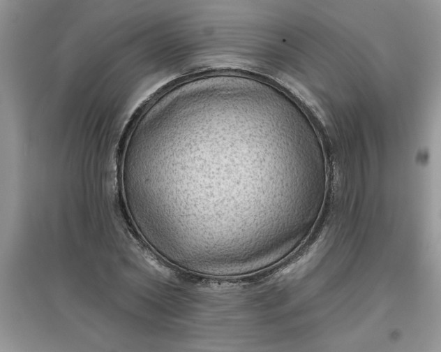 X0000097610782200803141938