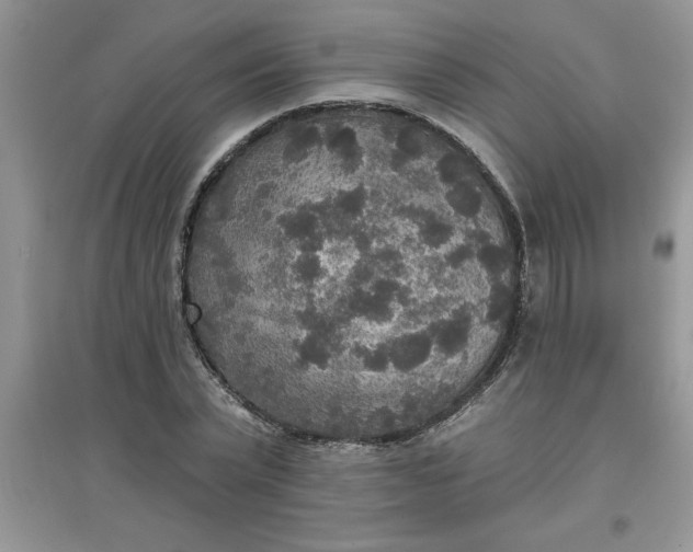 X0000097610783200803141938