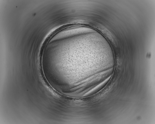 X0000097610784200803141938