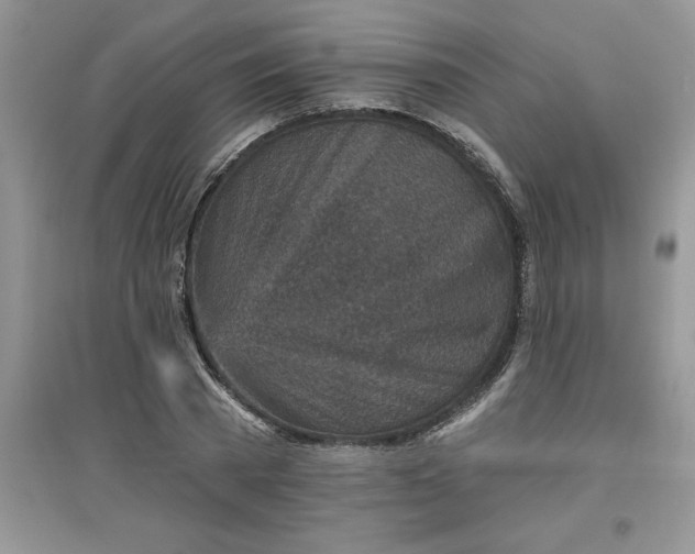 X0000097610785200803141938