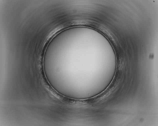 X0000097610786200803141938