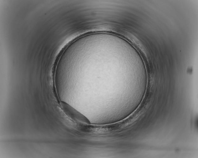 X0000097610789200803141938