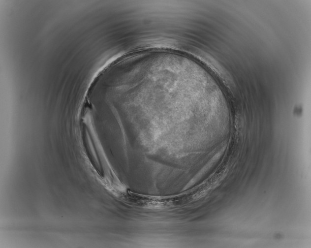 X0000097610790200803141938