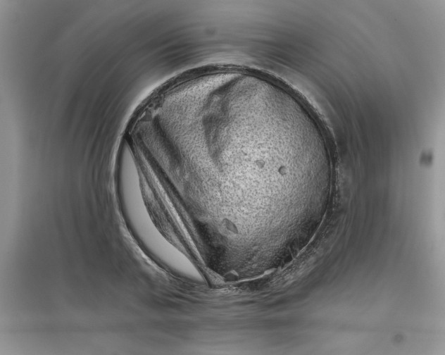 X0000097610791200803141938