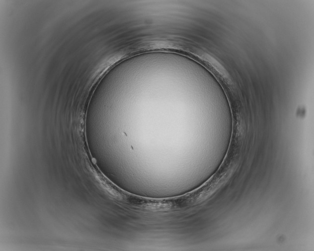 X0000097610793200803141938