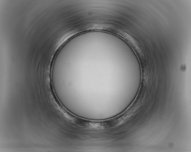 X0000097610794200803141938