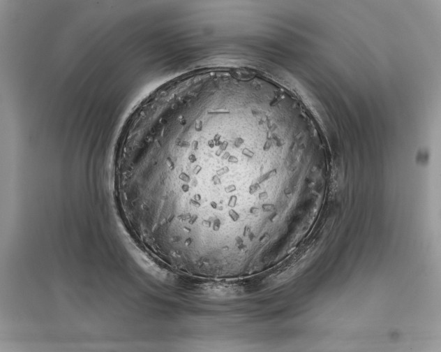 X0000097610795200803141938