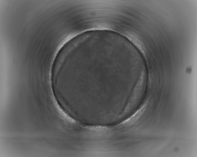 X0000097610797200803141938