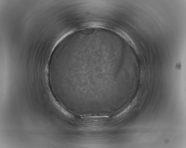 X0000097610798200803141938