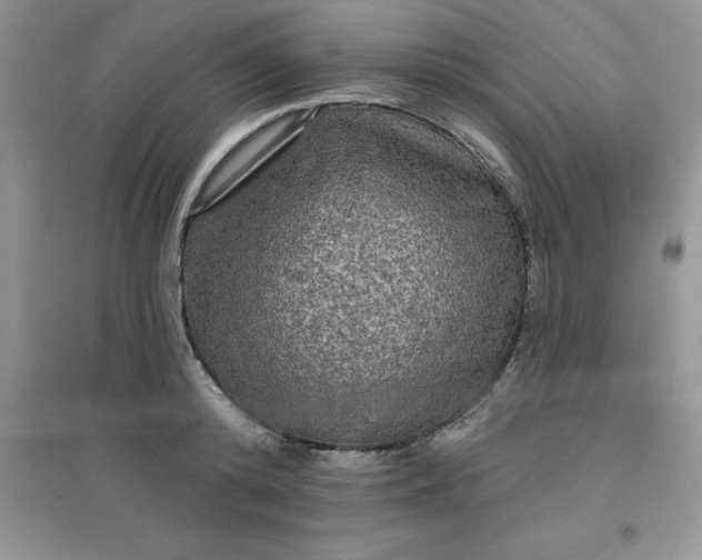 X0000097610800200803141938