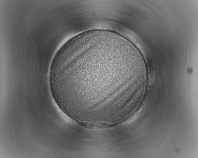 X0000097610803200803141938