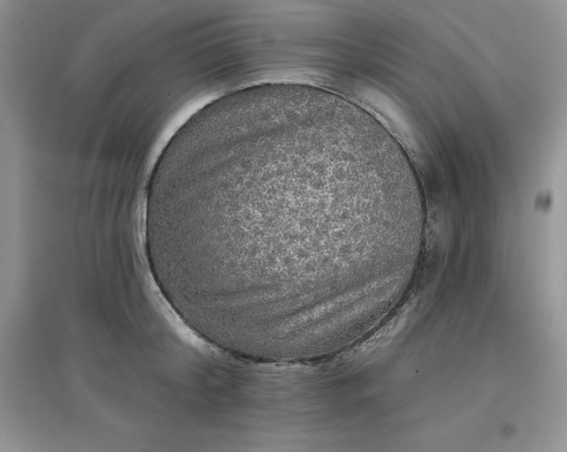 X0000097610804200803141938