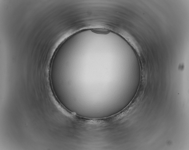 X0000097610805200803141938