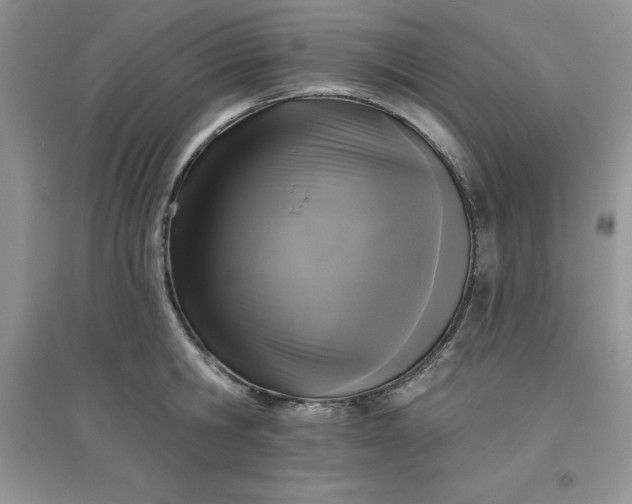 X0000097610806200803141938