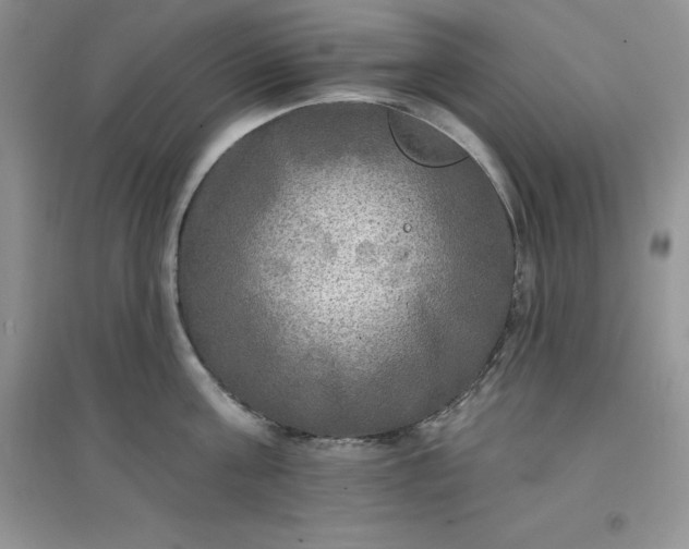 X0000097610811200803141938