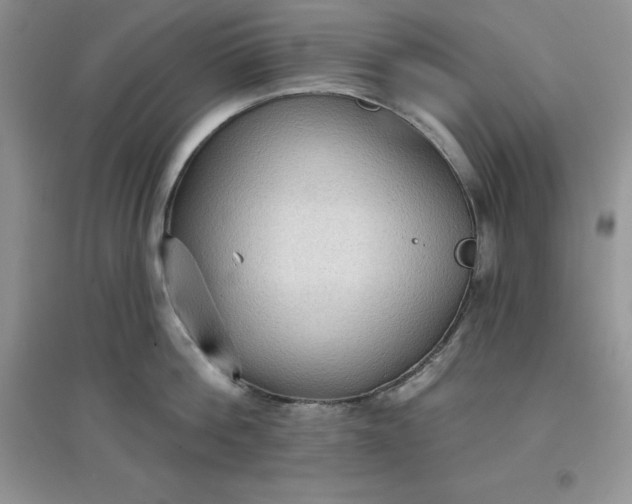 X0000097610812200803141938