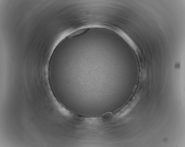 X0000097610813200803141938