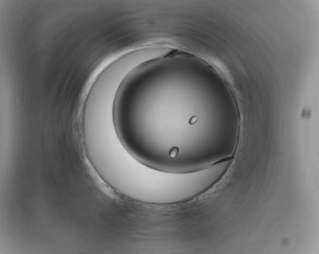 X0000097610816200803141938