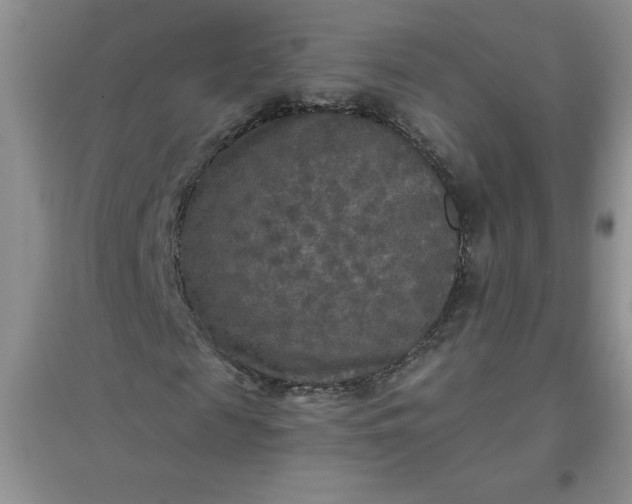 X0000097610817200803141937