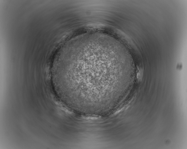 X0000097610819200803141937