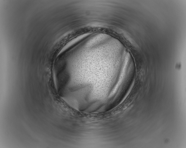 X0000097610821200803141937