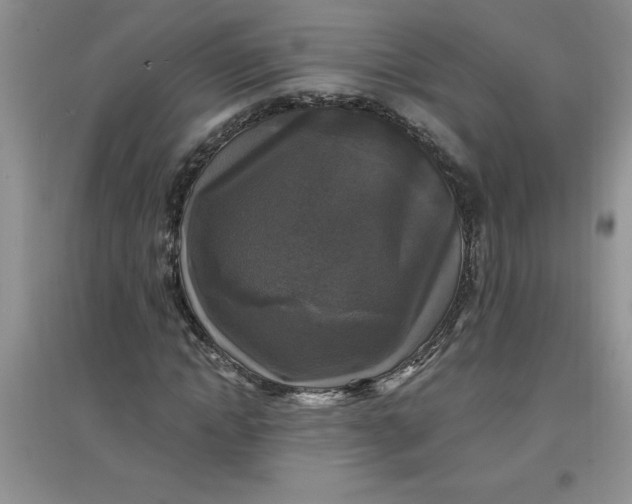 X0000097610822200803141937