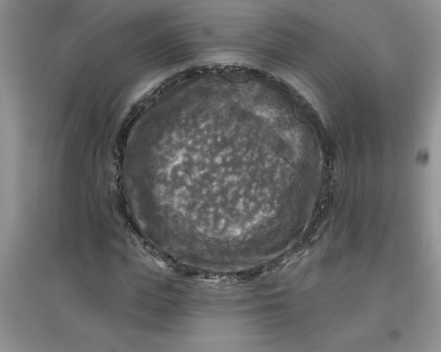 X0000097610823200803141937