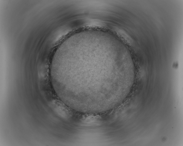 X0000097610824200803141937