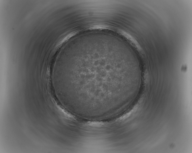 X0000097610825200803141937