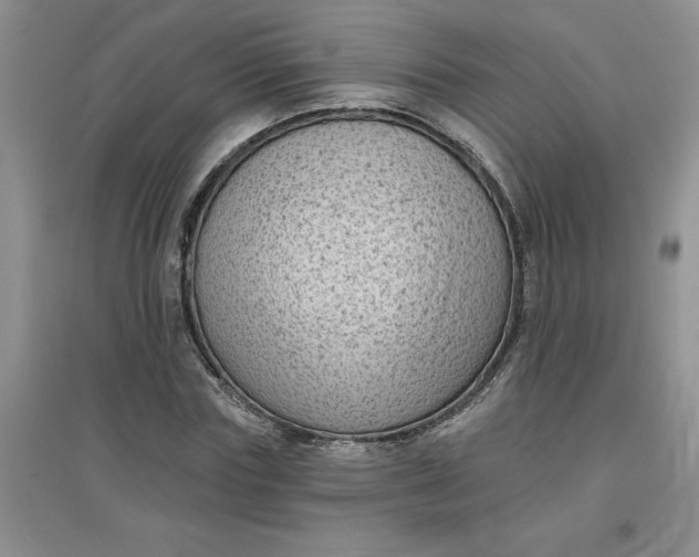 X0000097610827200803141937