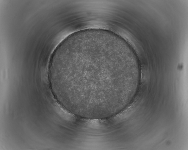 X0000097610828200803141937