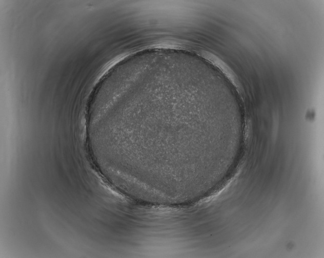 X0000097610829200803141937