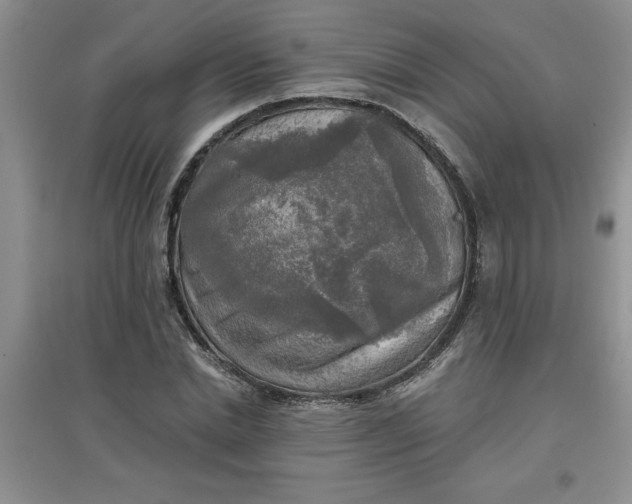 X0000097610830200803141937